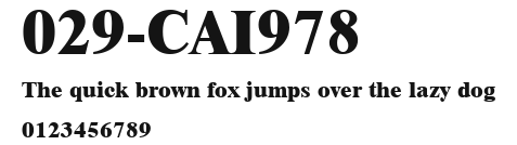029-CAI978 Preview