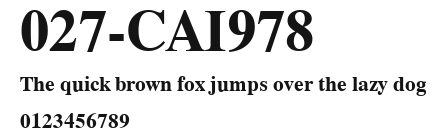 027-CAI978 Preview