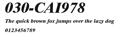 030-CAI978 Preview
