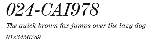 024-CAI978 Preview