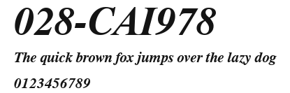 028-CAI978 Preview