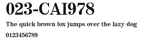 023-CAI978 Preview