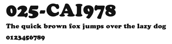025-CAI978 Preview