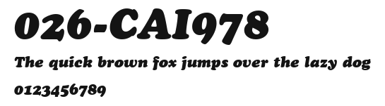 026-CAI978 Preview