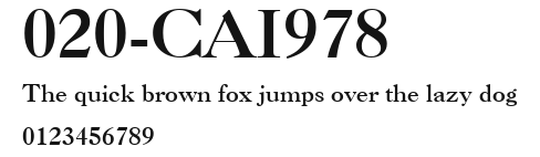 020-CAI978 Preview