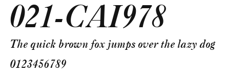 021-CAI978 Preview