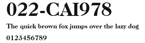 022-CAI978 Preview