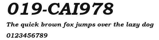 019-CAI978 Preview