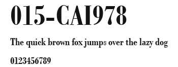 015-CAI978 Preview