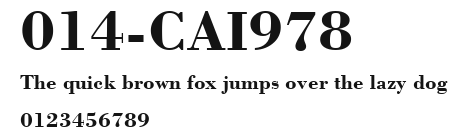 014-CAI978 Preview