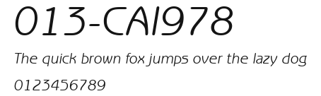 013-CAI978 Preview