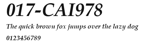 017-CAI978 Preview