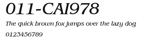 011-CAI978 Preview