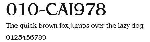 010-CAI978 Preview