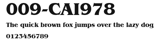 009-CAI978 Preview