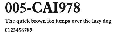 005-CAI978 Preview