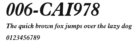 006-CAI978 Preview
