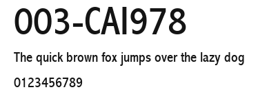 003-CAI978 Preview