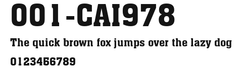 001-CAI978 Preview