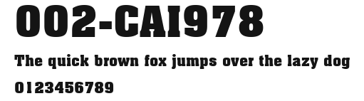 002-CAI978 Preview