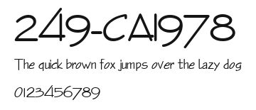 249-CAI978 Preview