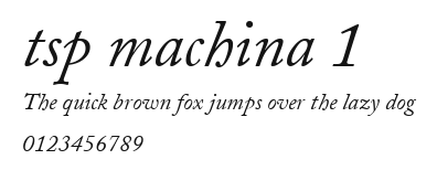 tsp machina 1 Preview