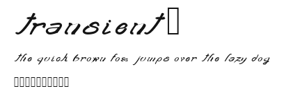 transient2 Preview