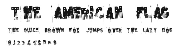 the american flag Preview