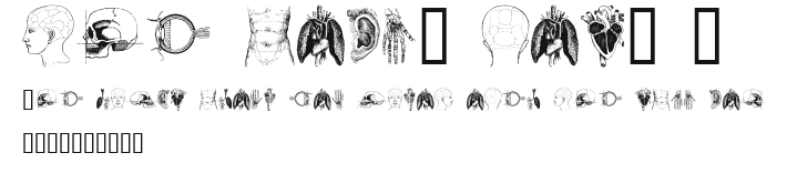 the body, vol. I Preview