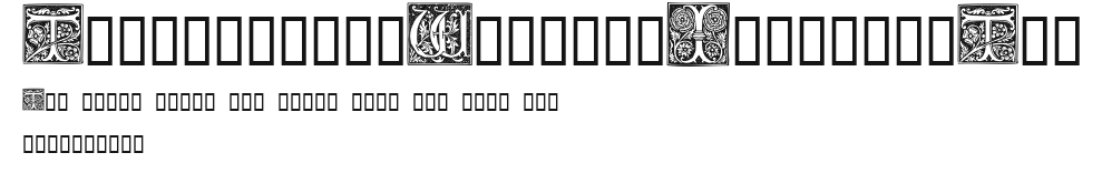 TypographerWoodcutInitialsTwo Preview