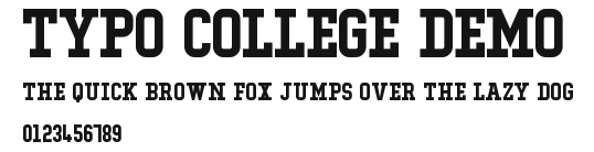 Typo College Demo Preview