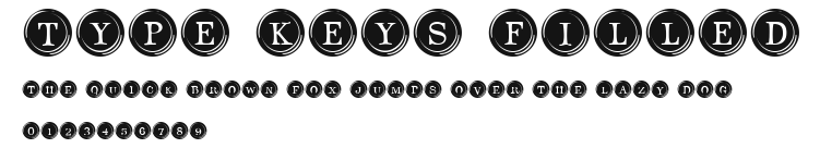 Type Keys Filled Preview