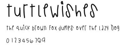 TurtleWishes Preview