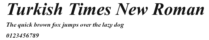 Turkish Times New Roman Preview
