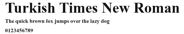 Turkish Times New Roman Preview