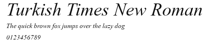 Turkish Times New Roman Preview