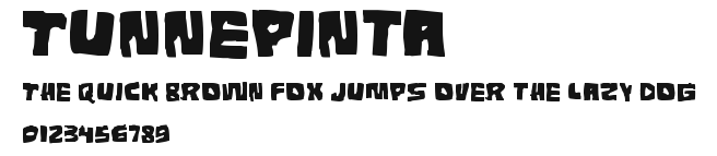 Tunnepinta Preview