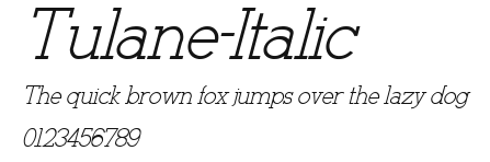 Tulane-Italic Preview
