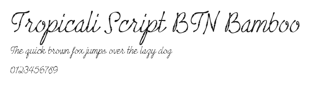Tropicali Script BTN Bamboo Preview