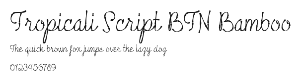 Tropicali Script BTN Bamboo Preview