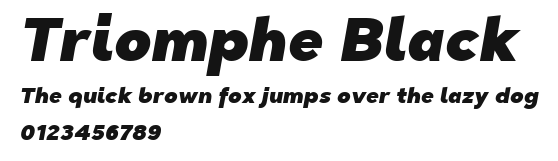 Triomphe Black Preview