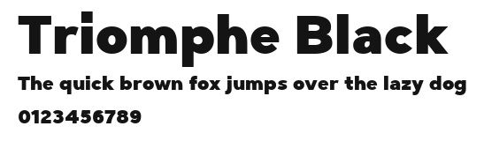 Triomphe Black Preview