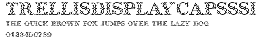 TrellisDisplayCapsSSi Preview