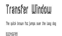 Transfer Window Preview