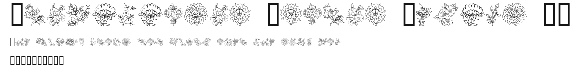 Traditional Floral Design II Preview