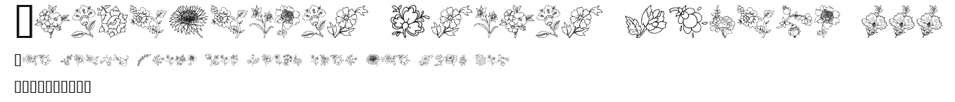 Traditional Floral Design III Preview
