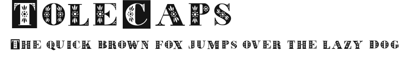 ToleCaps Preview