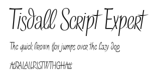 Tisdall Script Expert Preview