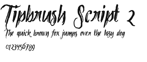 Tipbrush Script 2 Preview