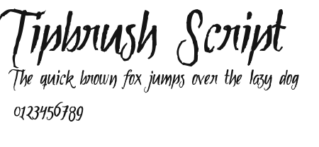 Tipbrush Script Preview